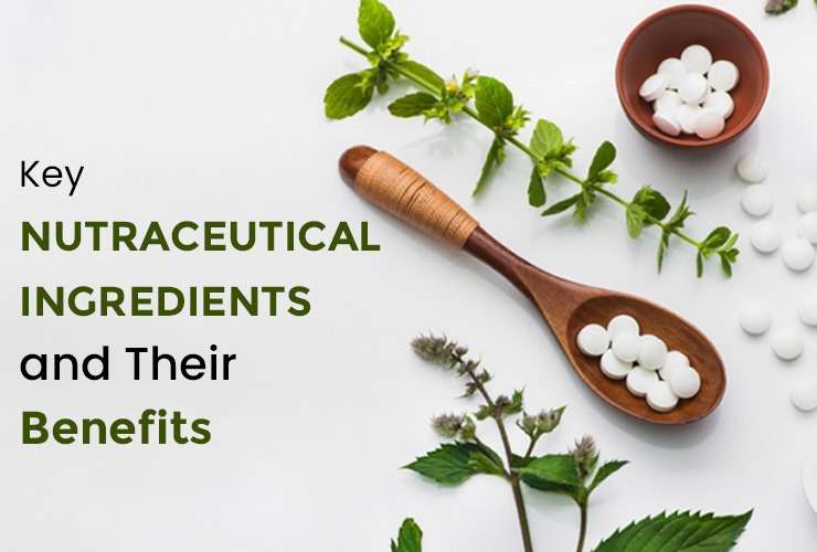 Key Nutraceutical Ingredients and Their Benefits