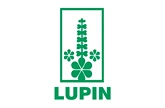 Lupin