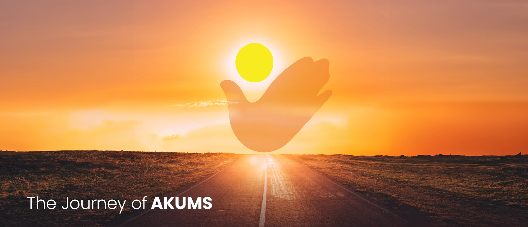 Akums Business Partner Banner